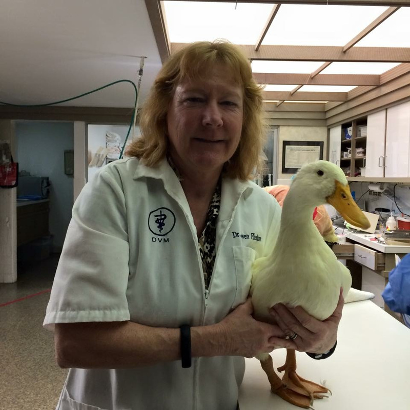 All Bird Clinic of the Palm Beaches - All Bird Clinic is a full-service  veterinary office for all your pet birds. We offer complete veterinary  care, grooming, boarding, house calls & much